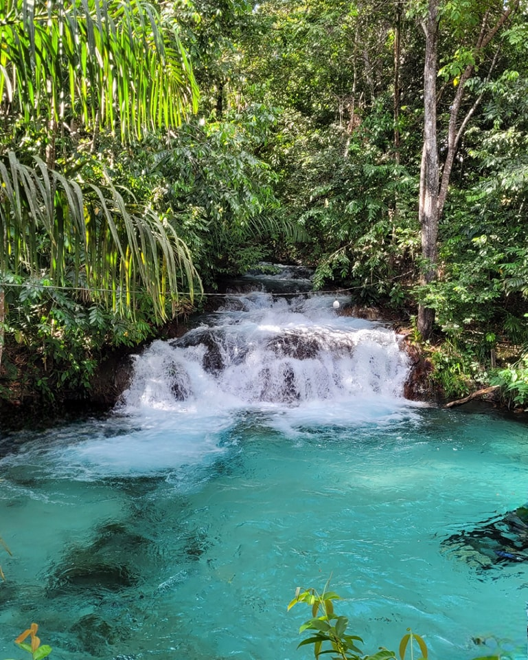 Bate e volta no paraíso